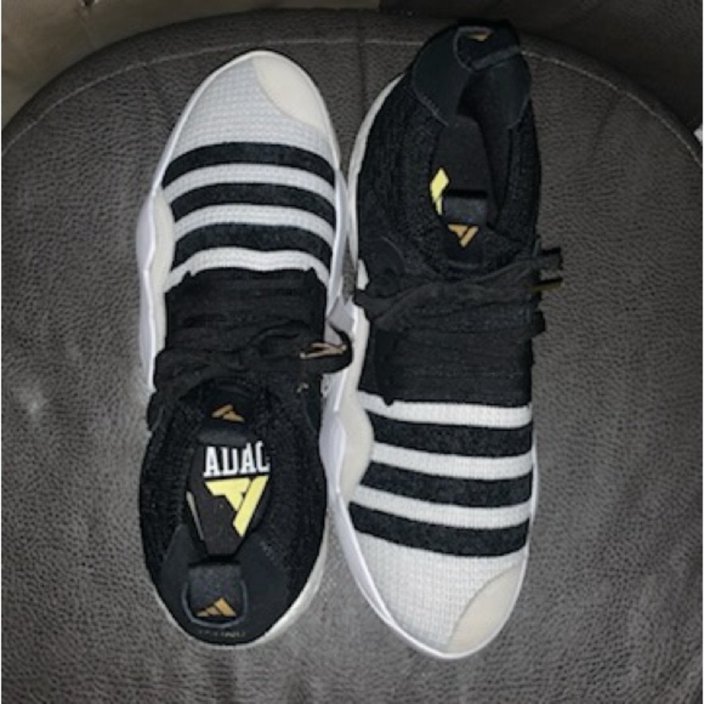 BRAND NEW WITH TAGS Trae Young 2 Adidas Black and White